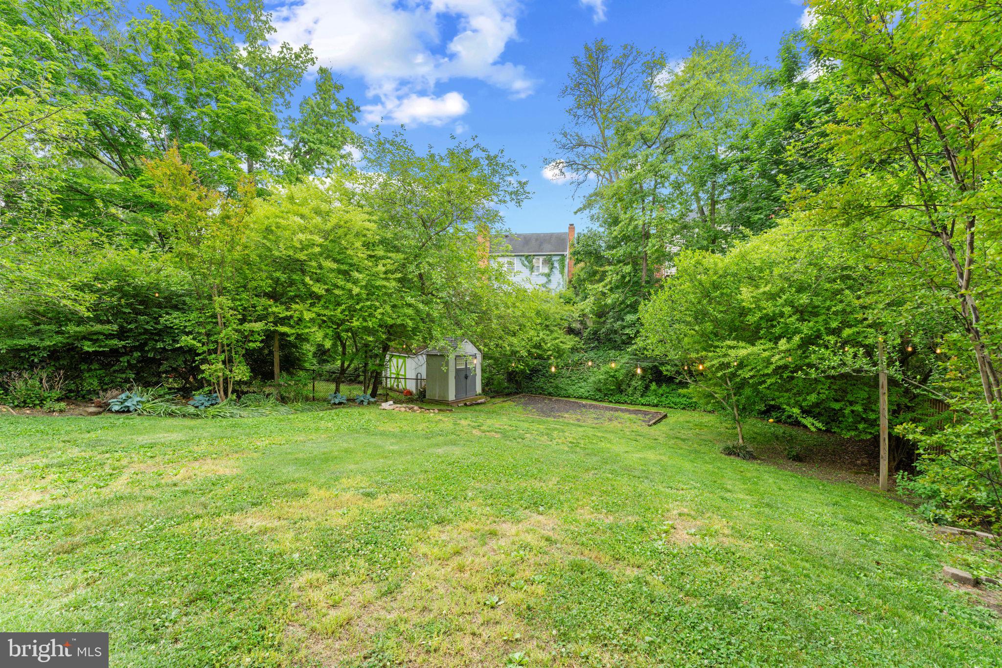1214 West Braddock Road Alexandria, VA 22302 - Photo 34 of 39 Lush green oasis in a serene setting.