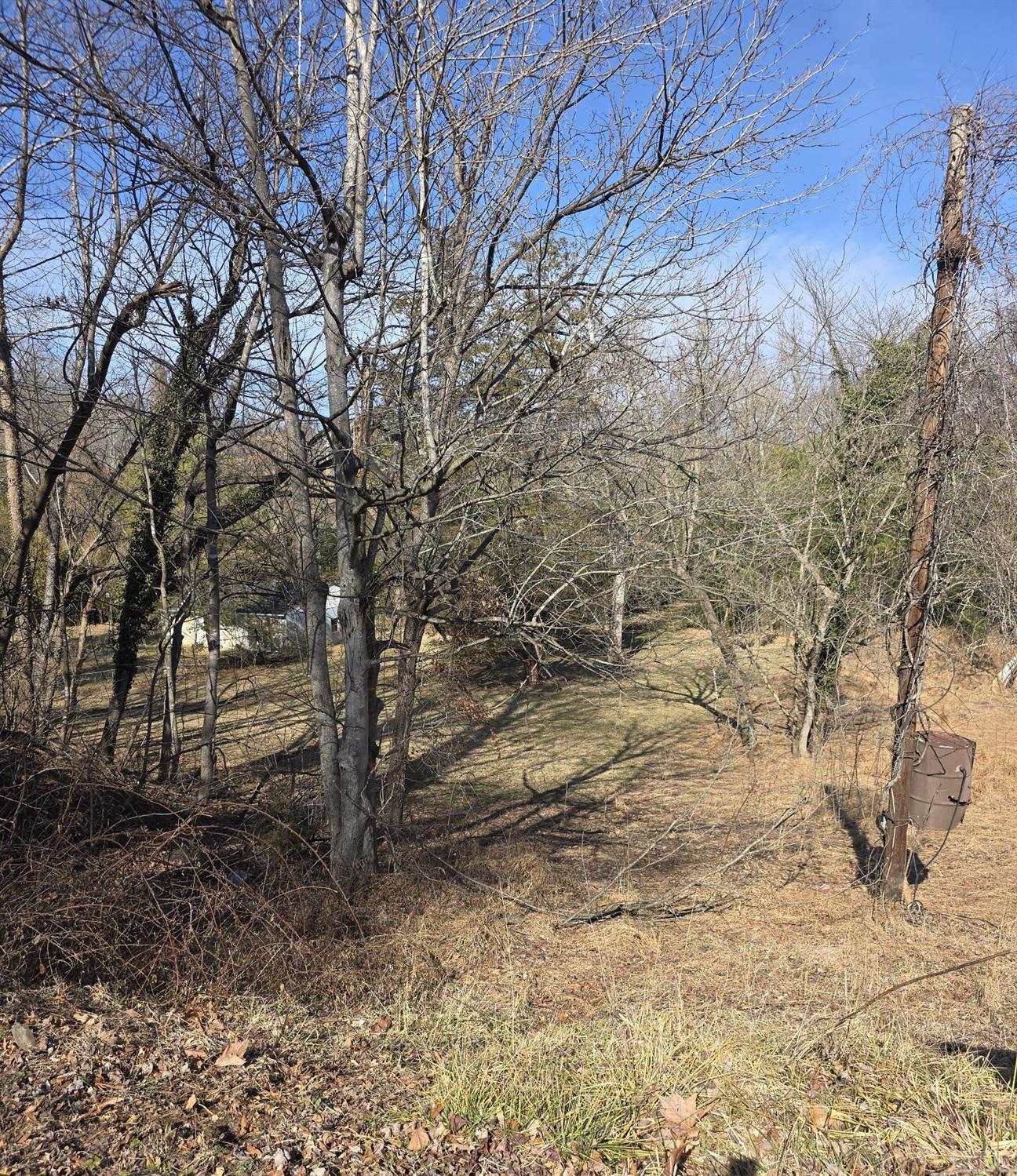 809 Old Forest Road Lynchburg, VA 24501 - Photo 1 of 2 a backyard of a house with lots of green space