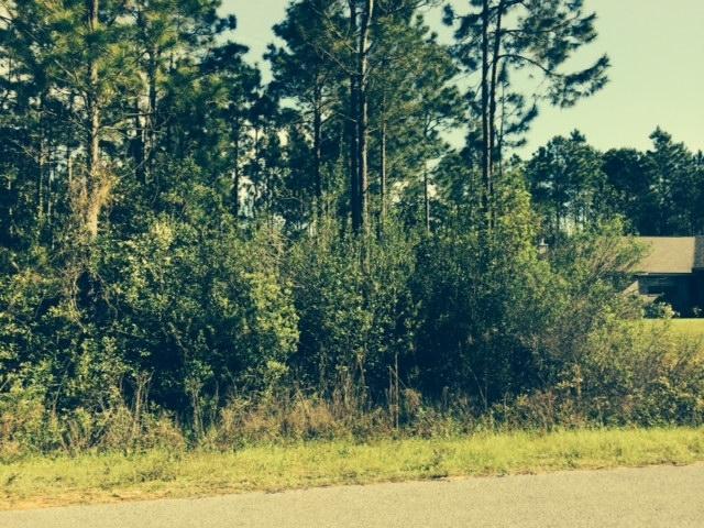 Xxxx Bryant Road Navarre, FL 32566 - Photo 1 of 1 Gallery Image 1