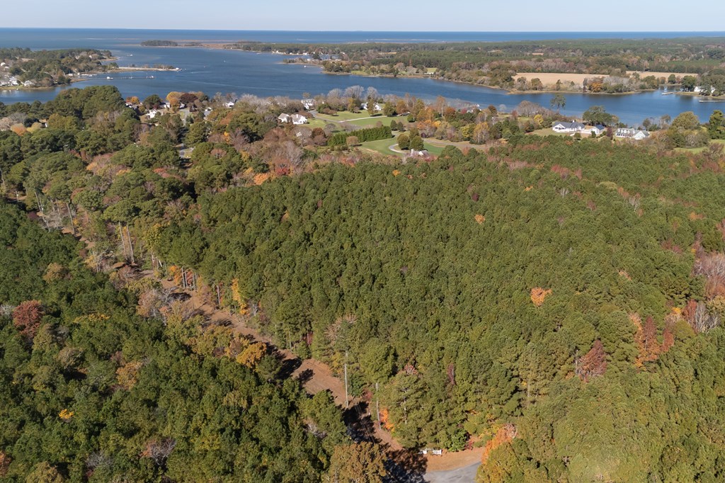 Lot 43 Country Club Road, Unit MULTI Melfa, VA 23410 - Photo 3 of 4