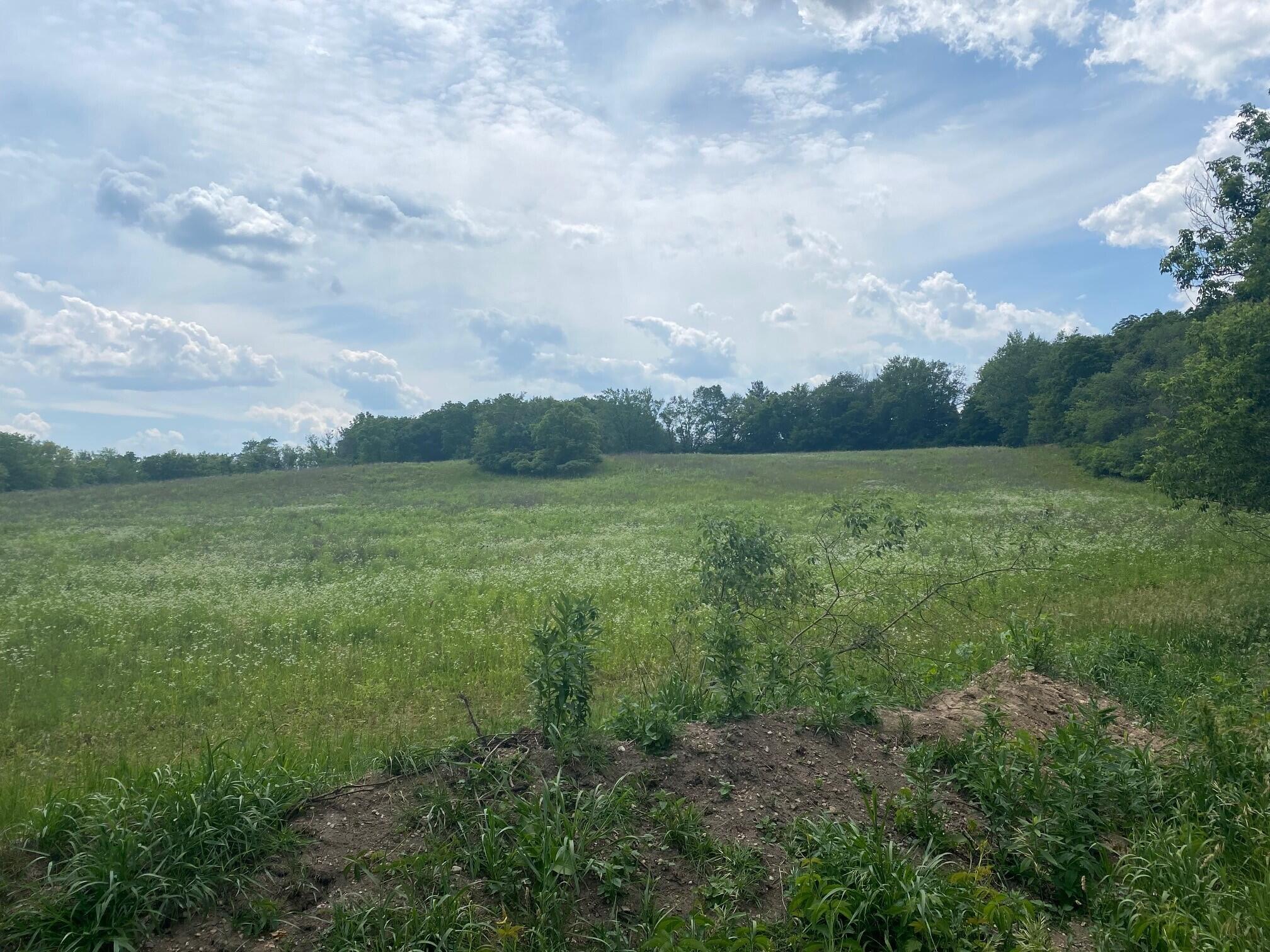 Lt3 Lt3 Teut Road Burlington, WI 53105 - Photo 4 of 4 land