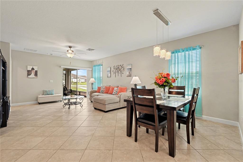 10231 Echo Dock Loop San Antonio, FL 33576 - Photo 12 of 92