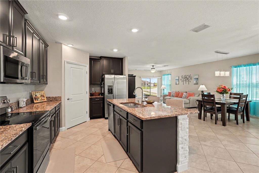 10231 Echo Dock Loop San Antonio, FL 33576 - Photo 13 of 92