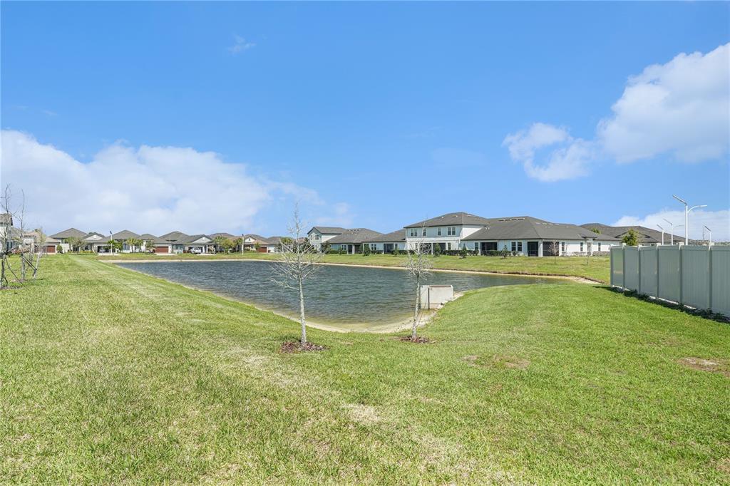 10231 Echo Dock Loop San Antonio, FL 33576 - Photo 5 of 92