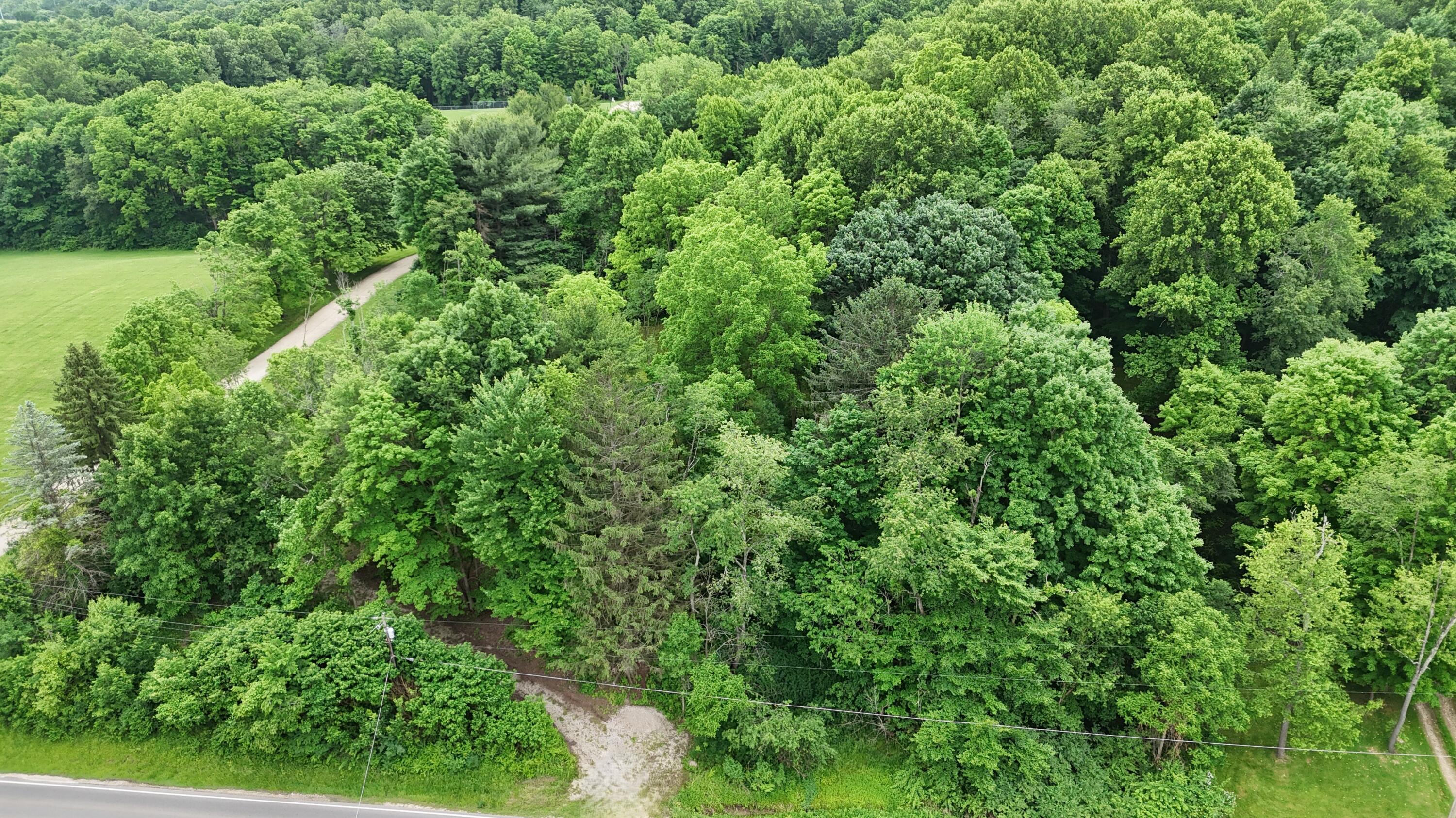 325 West Hanley Road Mansfield, OH 44903 - Photo 6 of 8