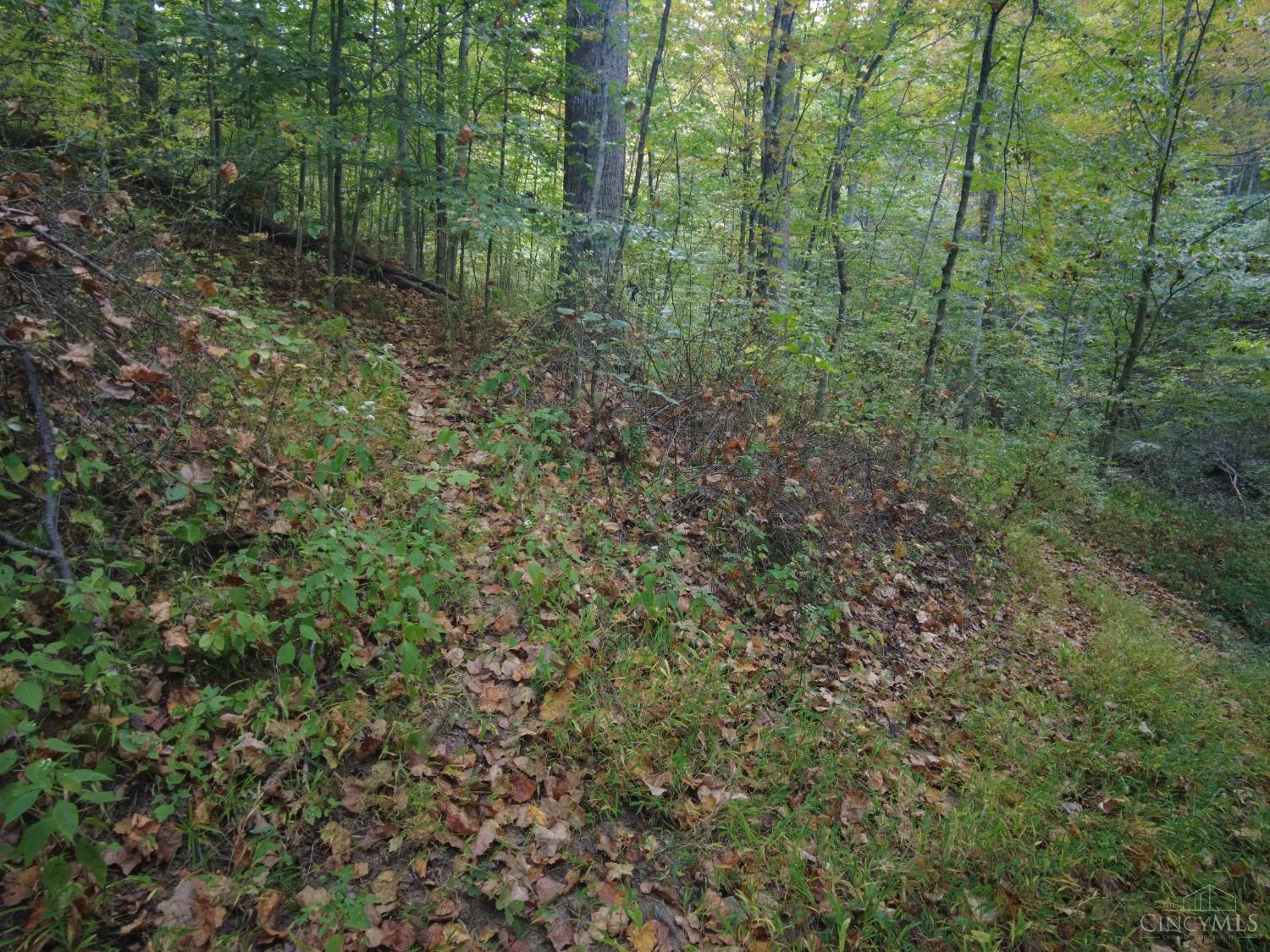 22-ac Richey Road Felicity, OH 45120 - Photo 26 of 30