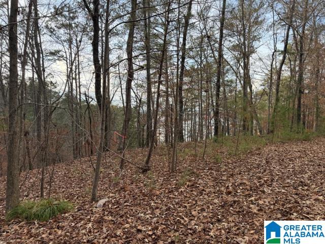 2 County Road 804, Unit 2 Wedowee, AL 36278 - Photo 5 of 6