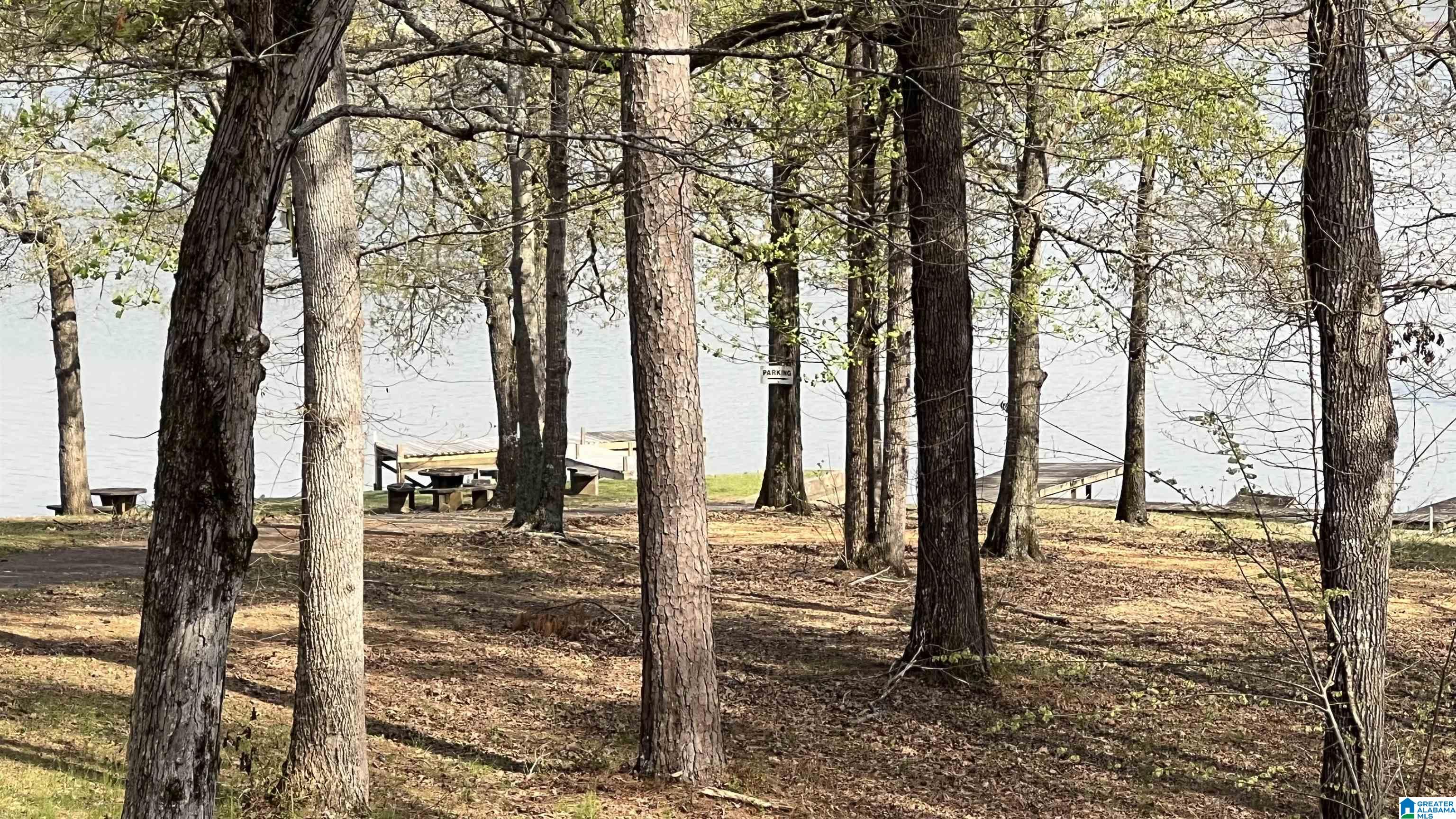 337 Tomahawk Trail Riverside, AL 35135 - Photo 63 of 68