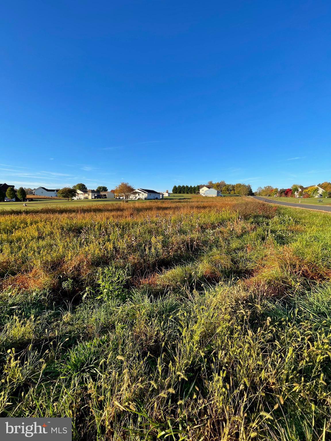 Isabelle Drive Orange, VA 22960 - Photo 4 of 6