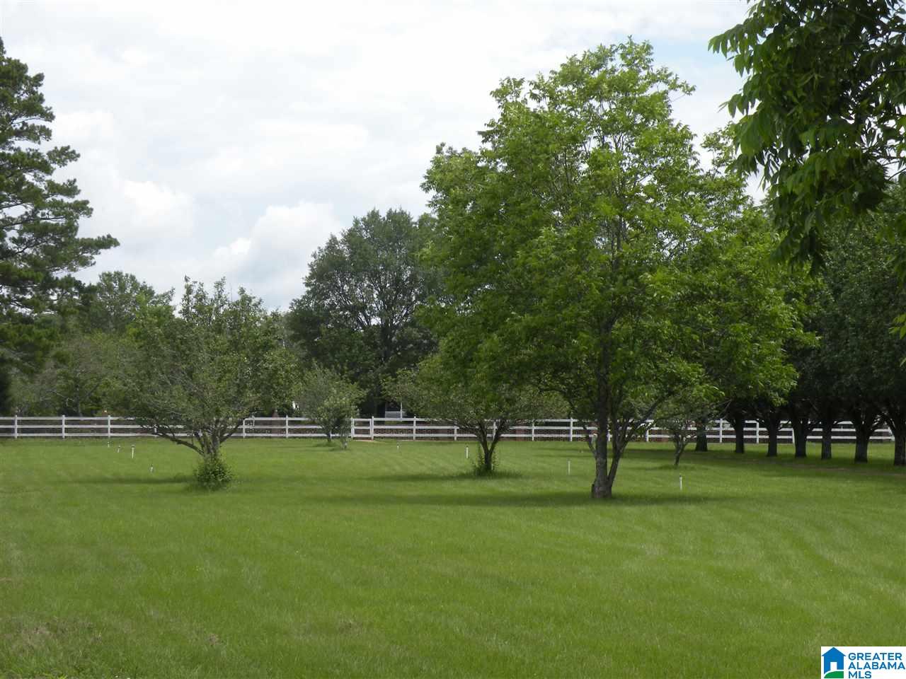 2593 Pecan Road Sylacauga, AL 35150 - Photo 20 of 48