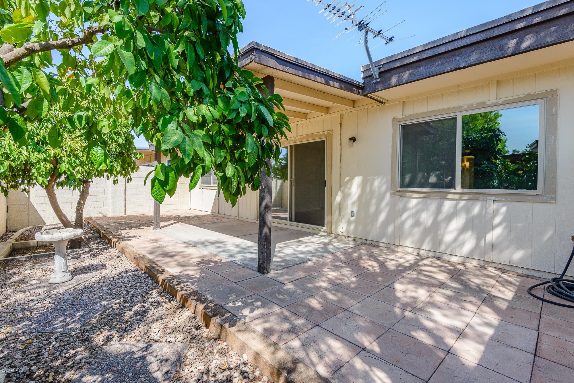 2539 East Wagoner Road Phoenix, AZ 85032 - Photo 21 of 26 Super Private Lovely Patio!