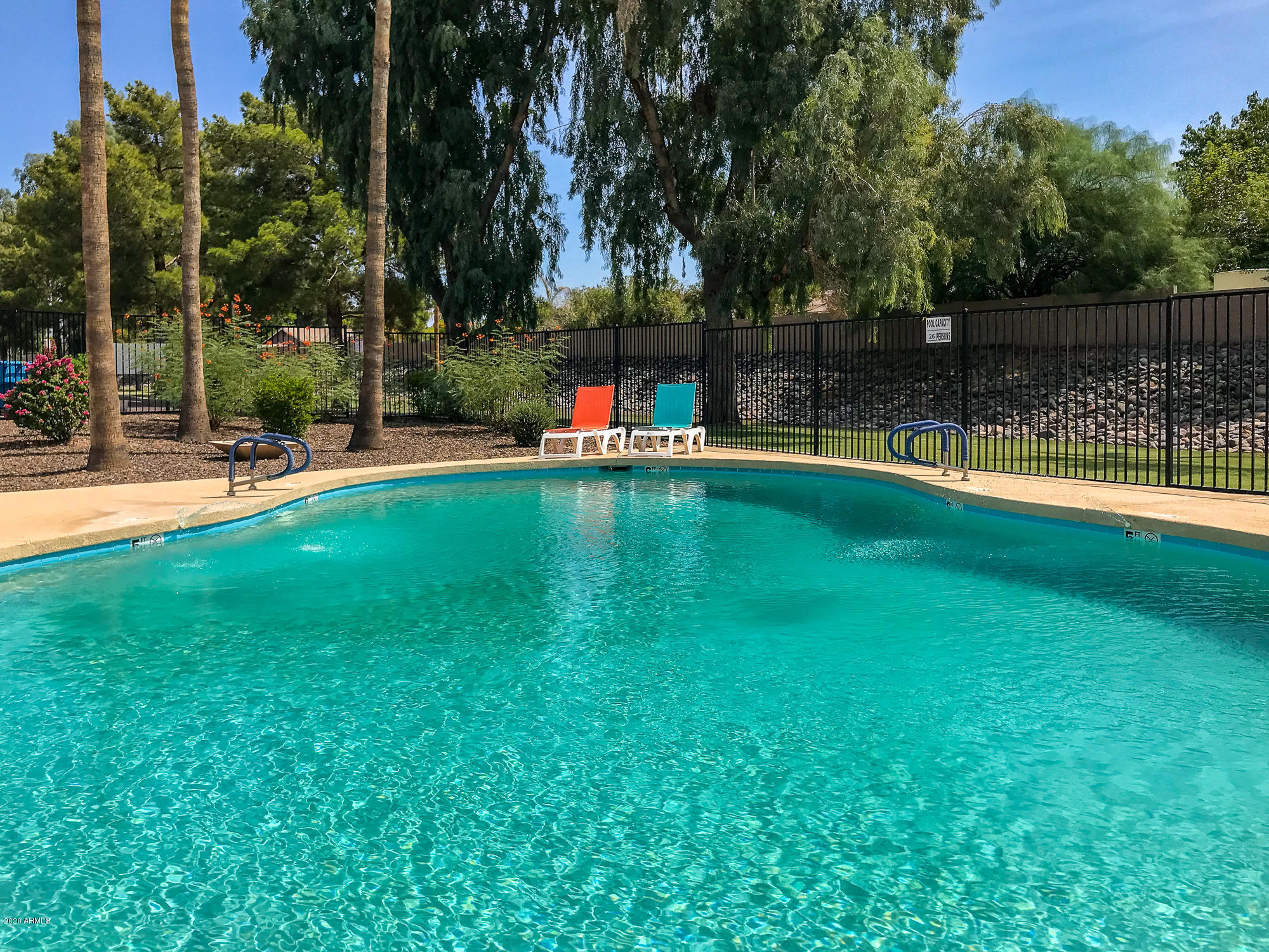 2539 East Wagoner Road Phoenix, AZ 85032 - Photo 26 of 26 Community Pool #2: You're on Vacation!