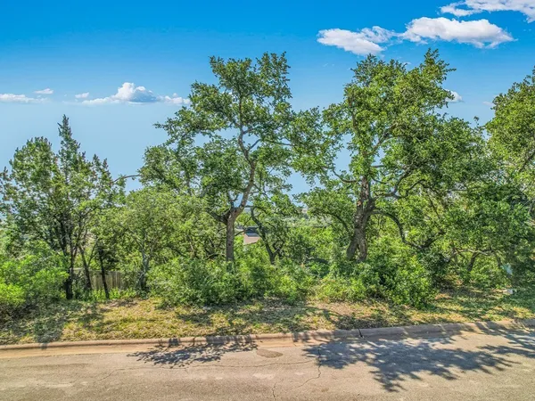 a view of a yard with a tree