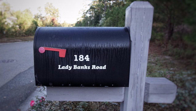 184 Lady Banks Road Aiken, SC 29803 - Photo 41 of 41 Gallery Image 41