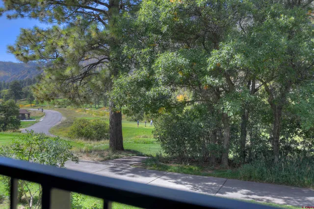 a view of a yard with plants and large trees