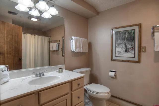 a bathroom with a toilet a sink and a mirror
