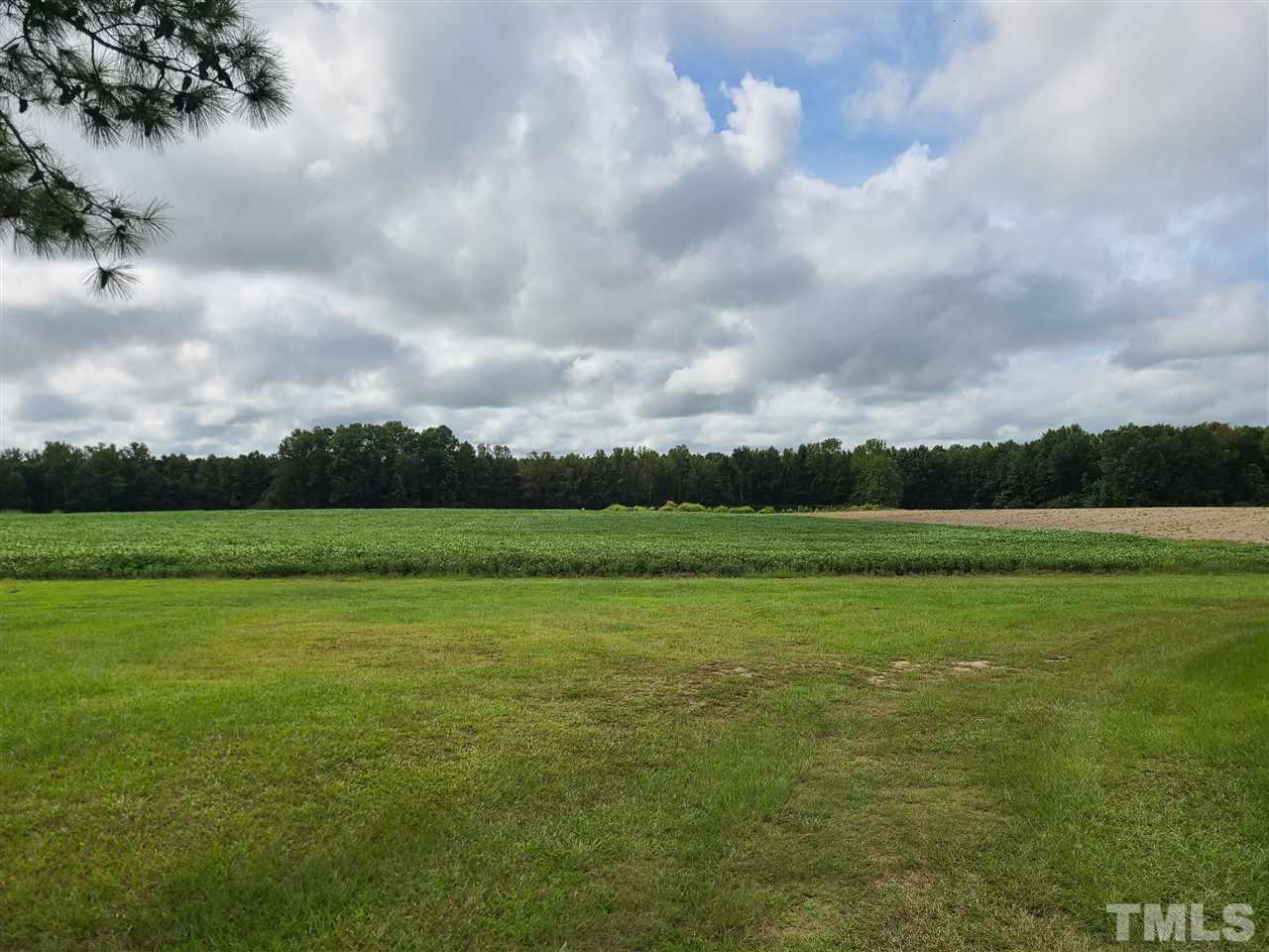 0 Pine Ridge Road, Unit LOT A Zebulon, NC 27597 - Photo 2 of 11