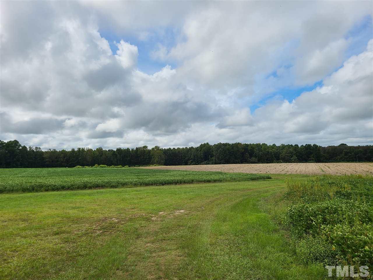 0 Pine Ridge Road, Unit LOT A Zebulon, NC 27597 - Photo 3 of 11