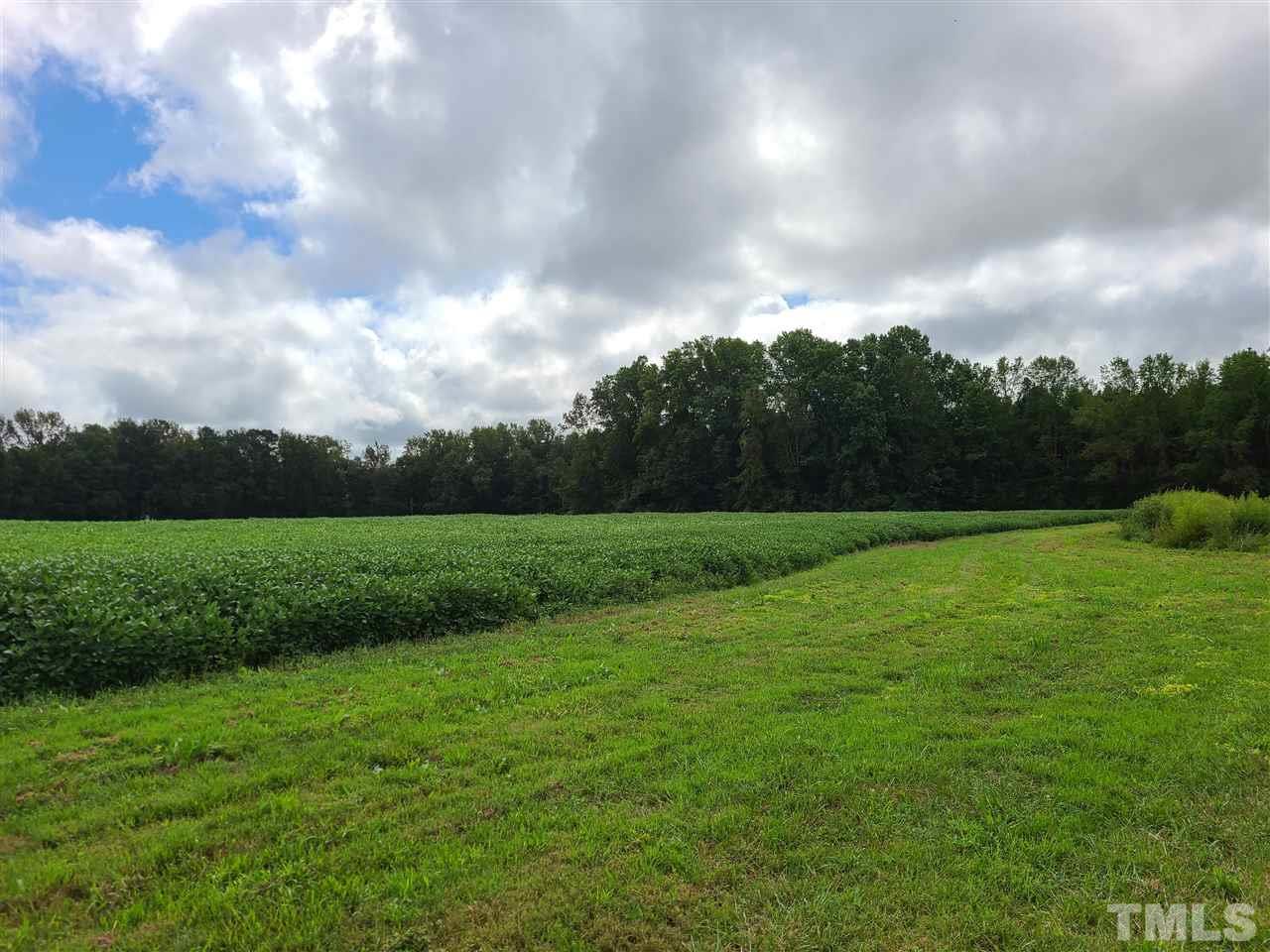 0 Pine Ridge Road, Unit LOT A Zebulon, NC 27597 - Photo 6 of 11