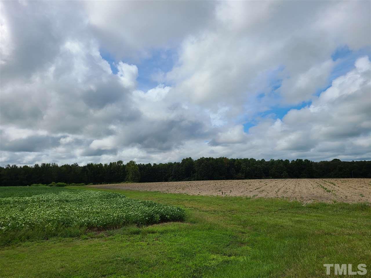 0 Pine Ridge Road, Unit LOT A Zebulon, NC 27597 - Photo 10 of 11
