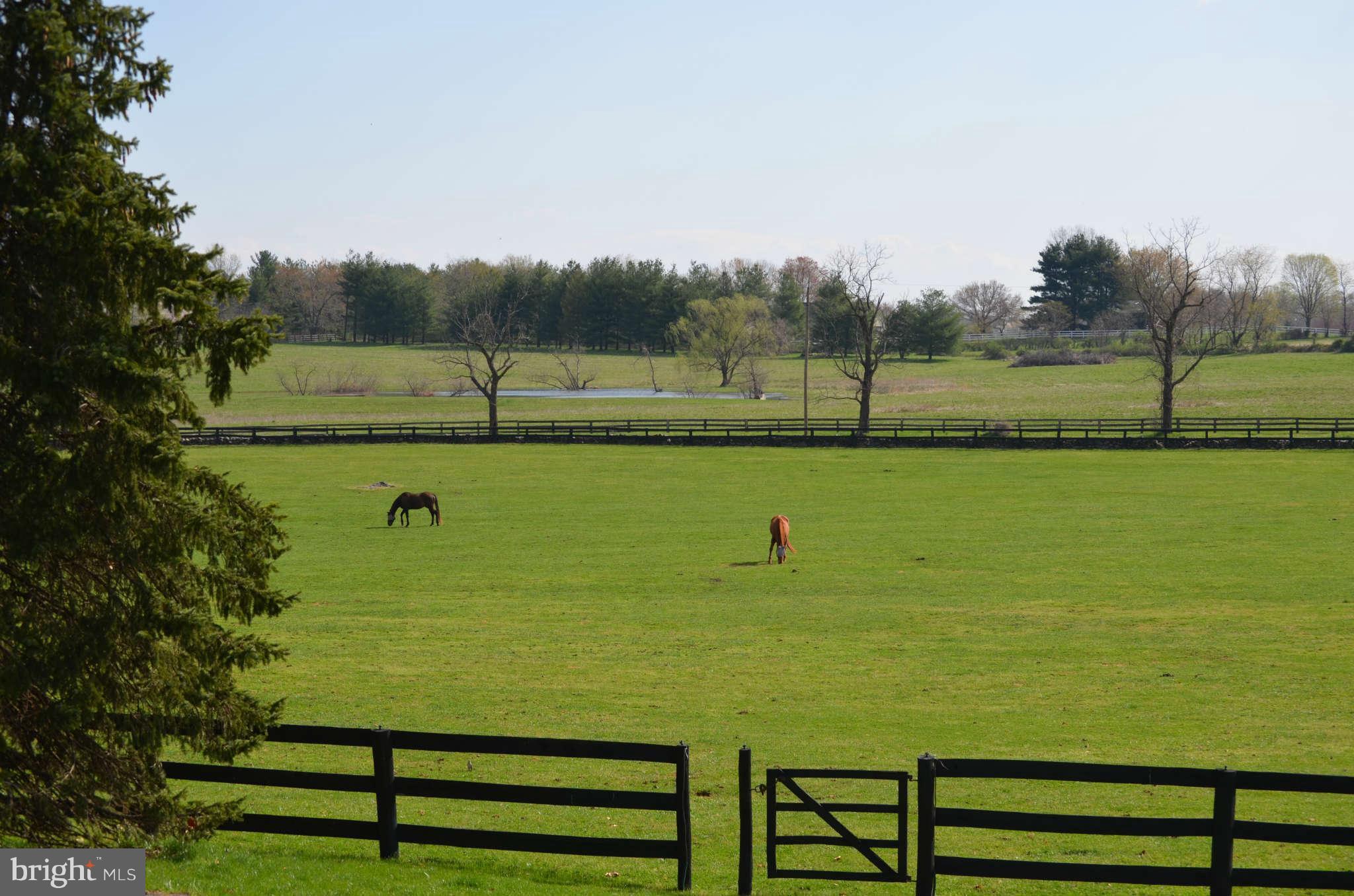 2476 5 Points Road Marshall, VA 20115 - Photo 11 of 30 View
