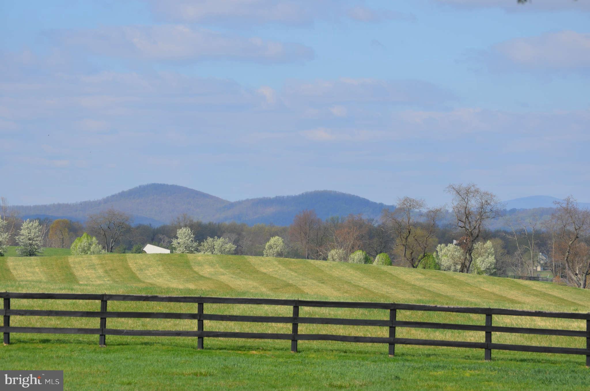 2476 5 Points Road Marshall, VA 20115 - Photo 5 of 30 View