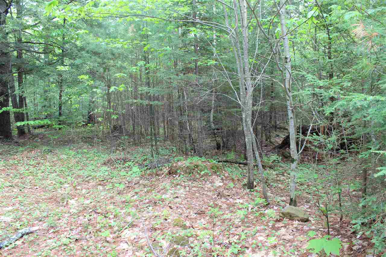 69 Hannah Road Sandwich, NH 03259 - Photo 13 of 18