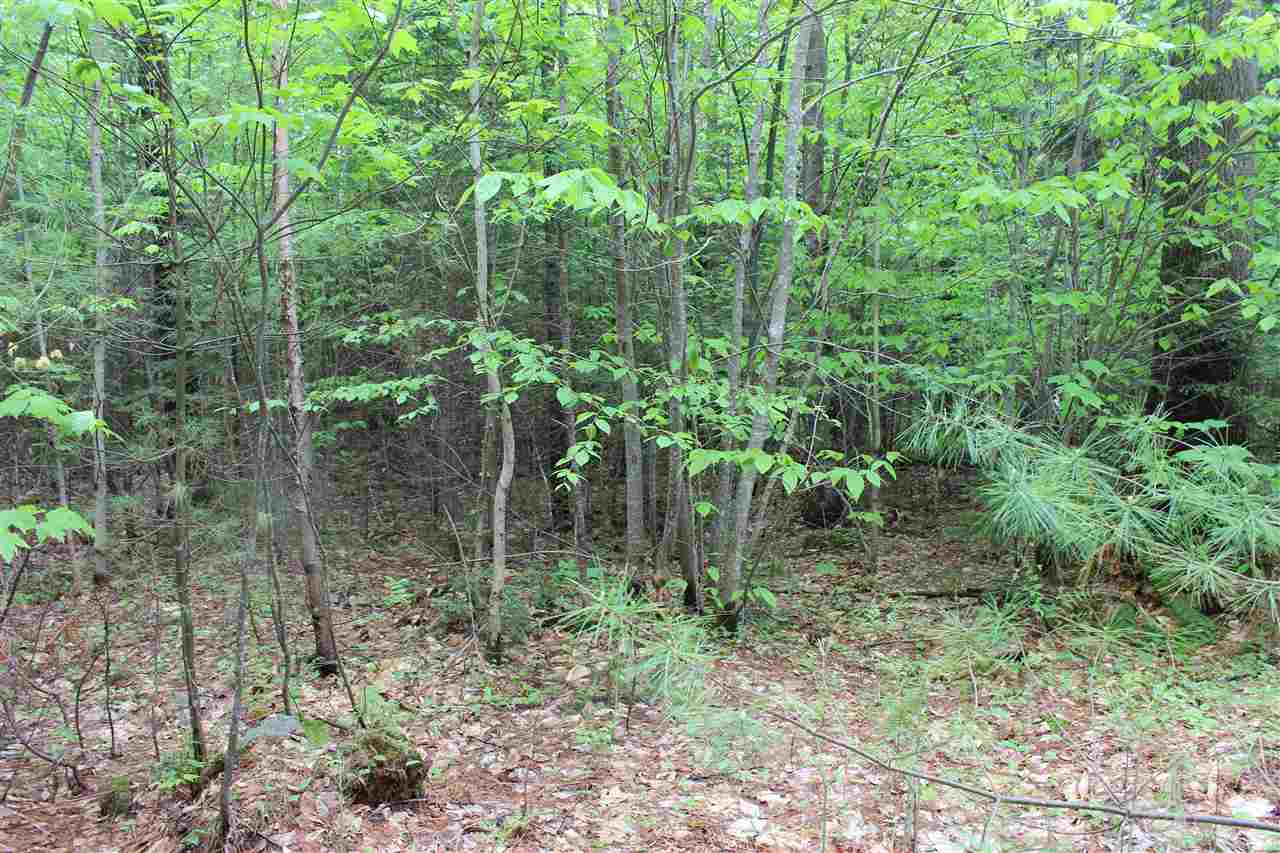 69 Hannah Road Sandwich, NH 03259 - Photo 14 of 18