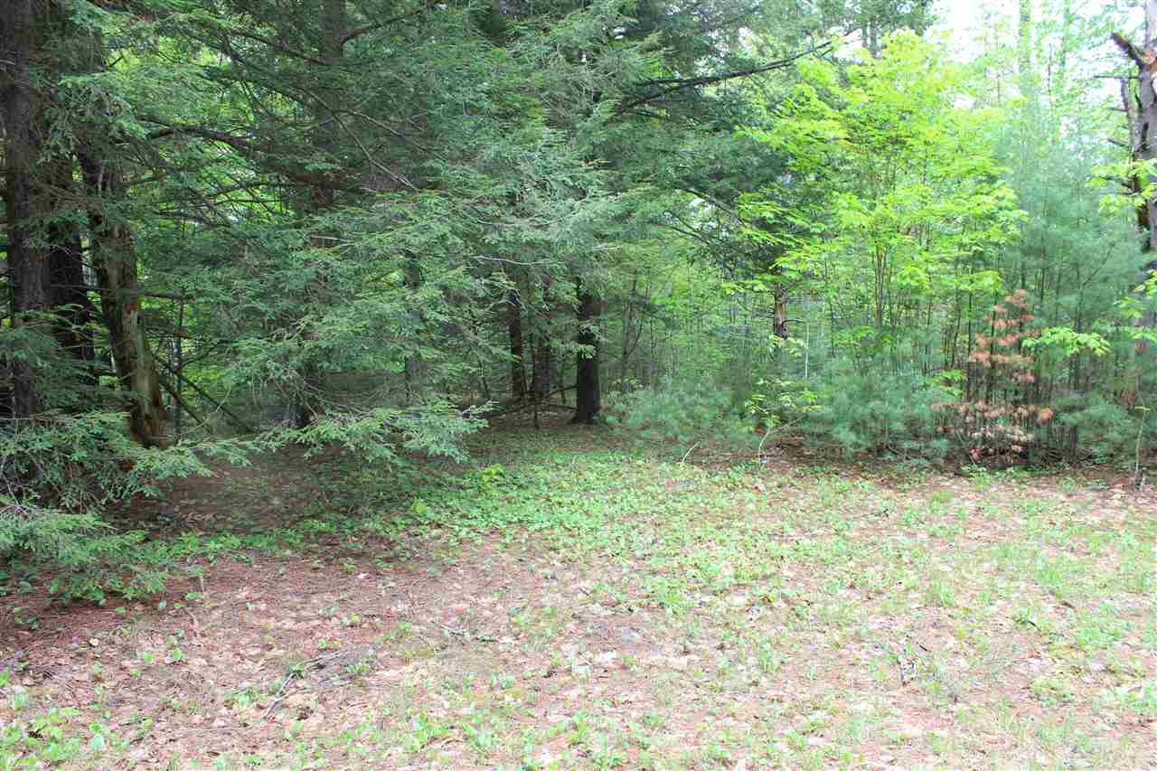 69 Hannah Road Sandwich, NH 03259 - Photo 16 of 18