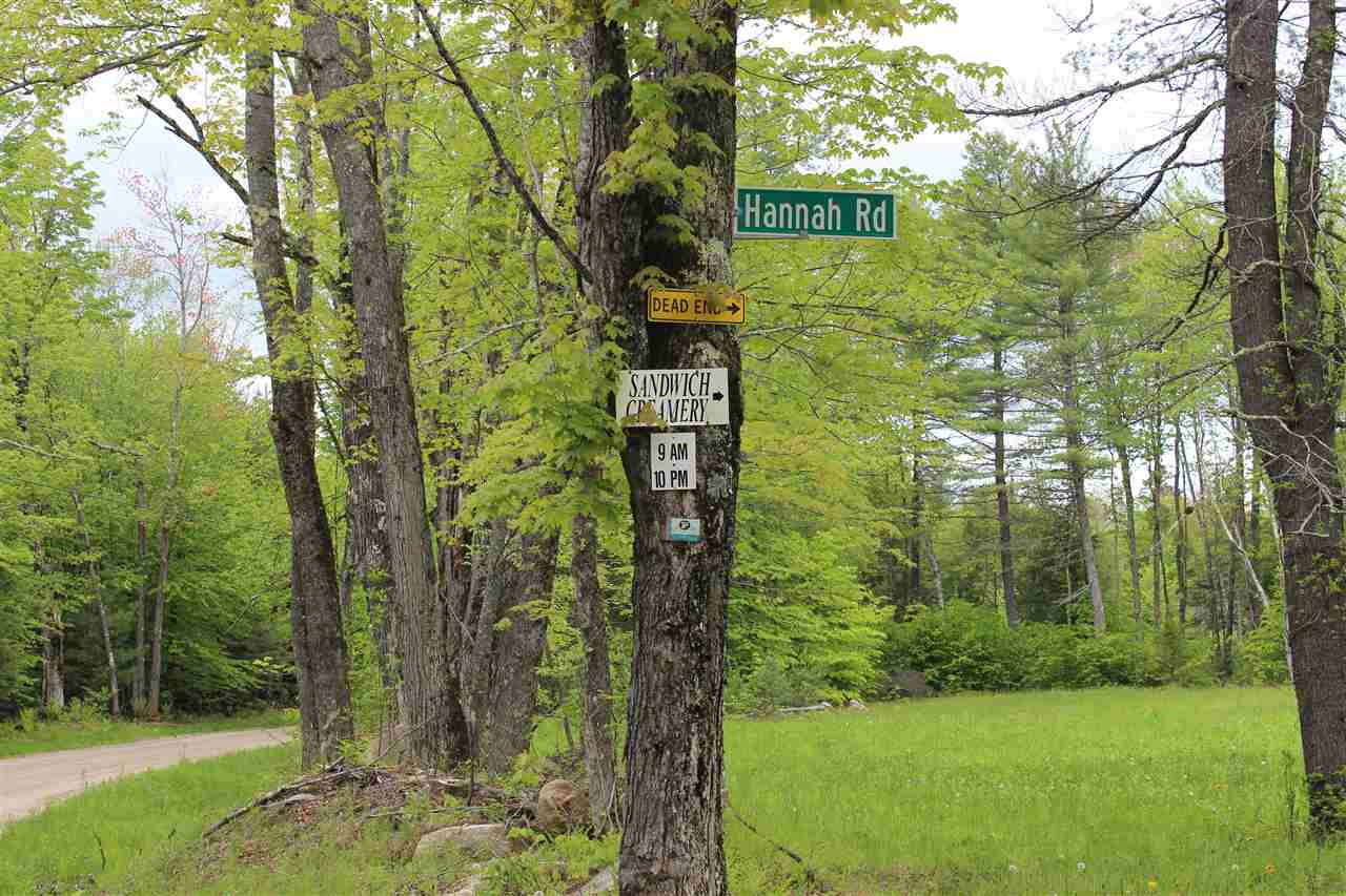 69 Hannah Road Sandwich, NH 03259 - Photo 18 of 18