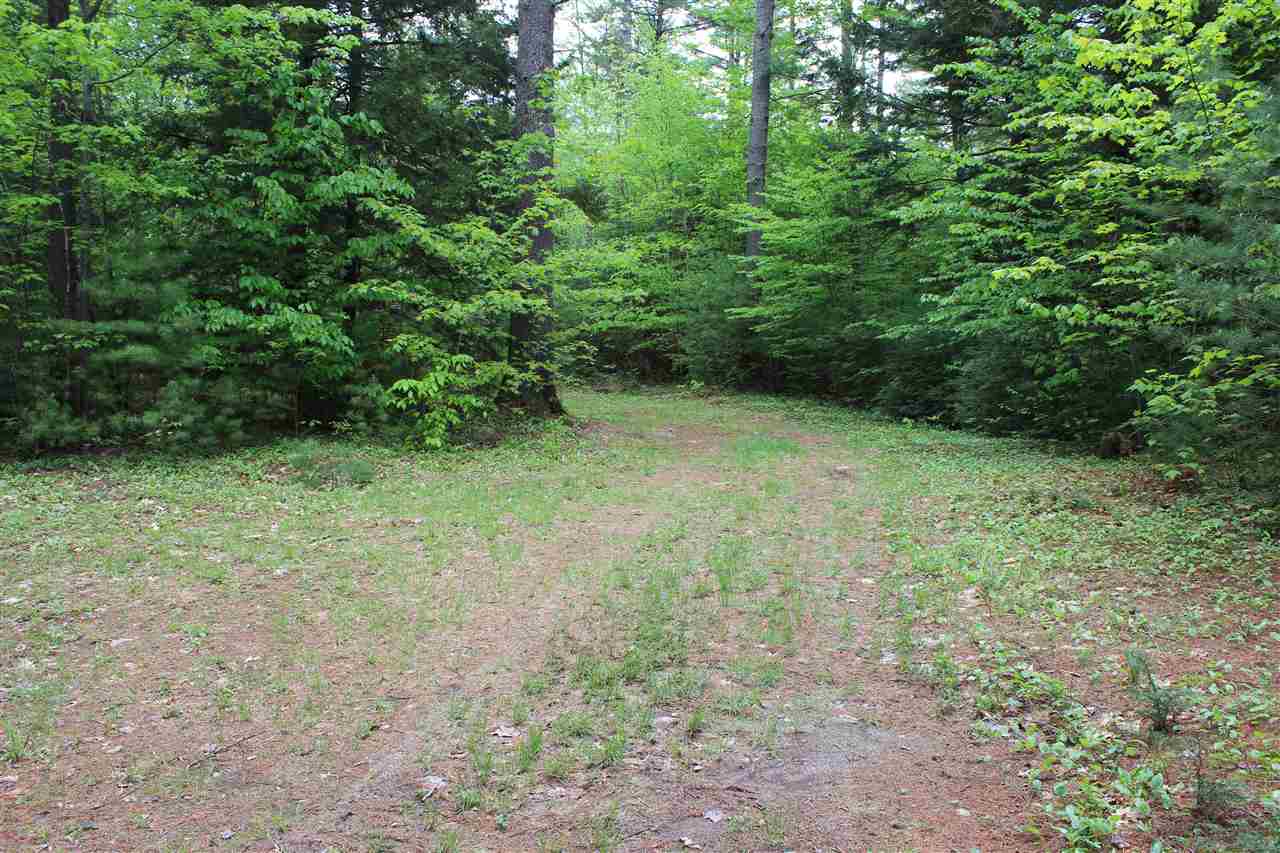 69 Hannah Road Sandwich, NH 03259 - Photo 3 of 18