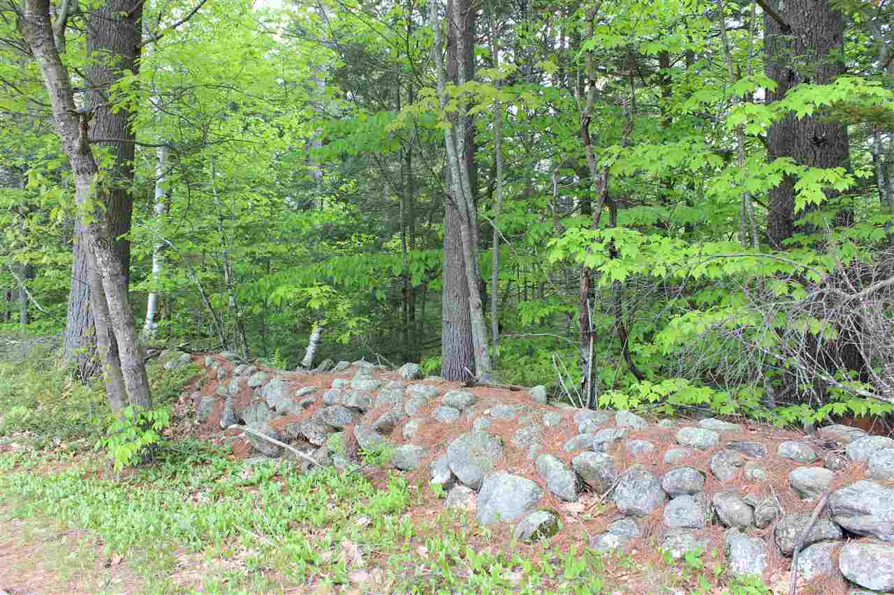 69 Hannah Road Sandwich, NH 03259 - Photo 7 of 18