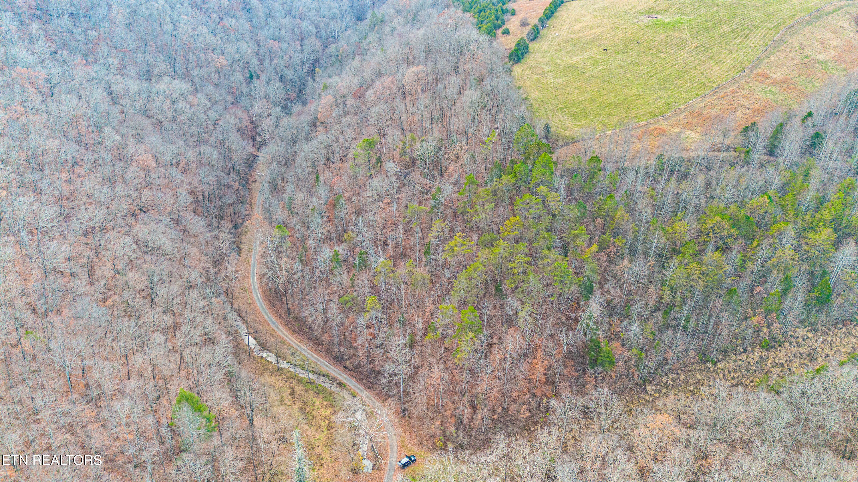 Ramsey Hollow Road Harrogate, TN 37752 - Photo 5 of 9 Ramsey Hollow