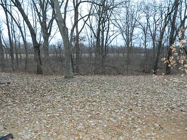 4788 Seven Hills Road Clinton, IL 61727 - Photo 12 of 46 a view of a backyard