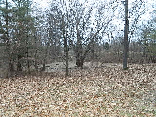 4788 Seven Hills Road Clinton, IL 61727 - Photo 13 of 46 a backyard of a house with lots of green space