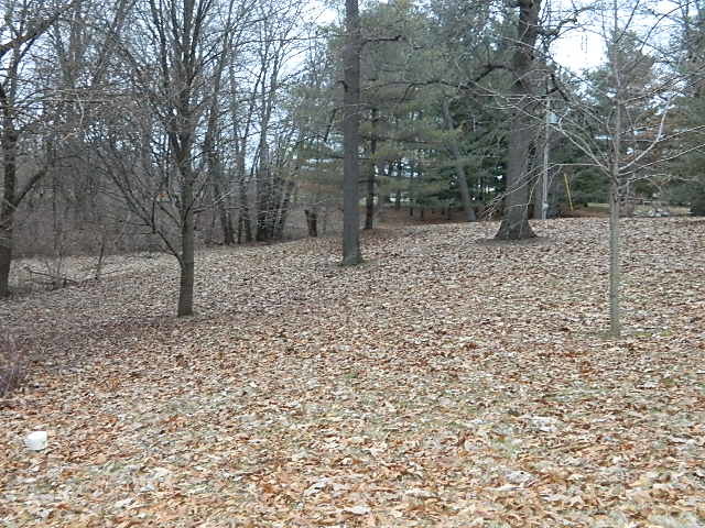 4788 Seven Hills Road Clinton, IL 61727 - Photo 14 of 46 a backyard of a house with lots of green space