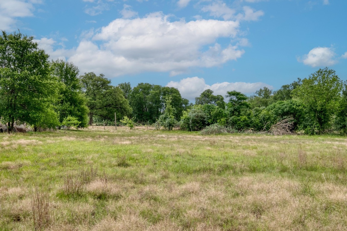 209 Fallwell Street Liberty Hill, TX 78642 - Photo 24 of 25 a view of a green yard