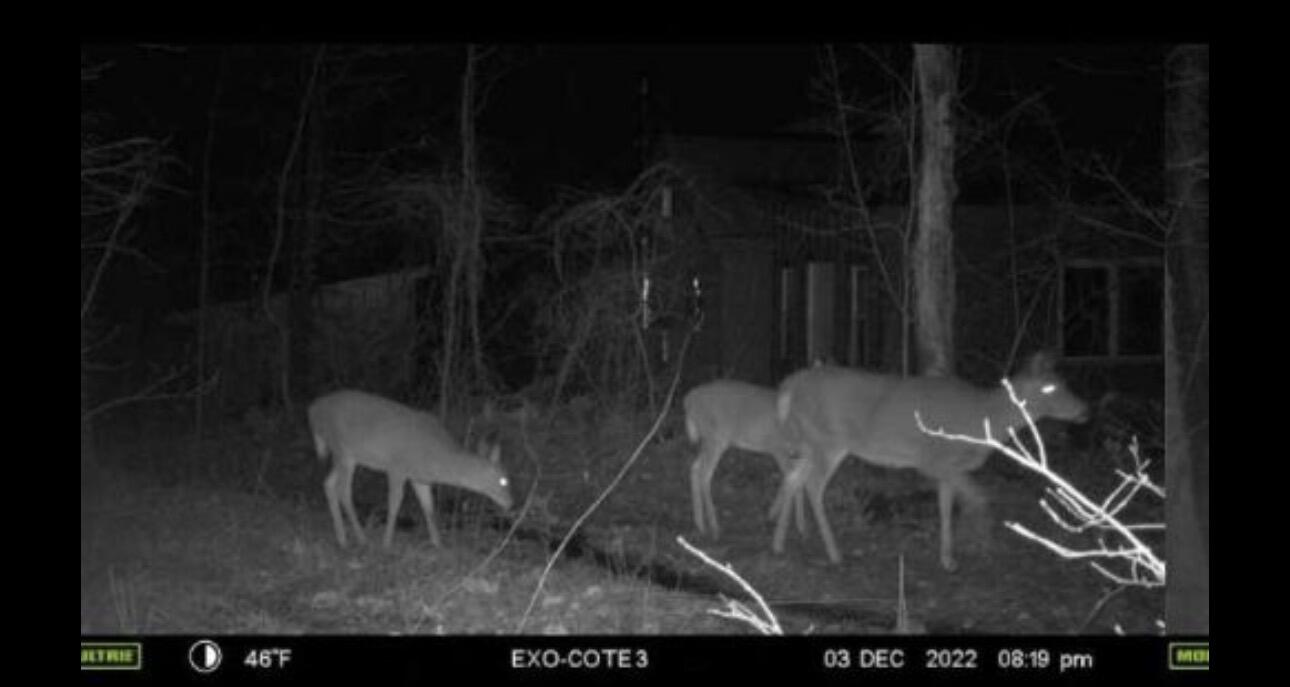 608 Adams Road Chesterville, ME 04938 - Photo 44 of 46