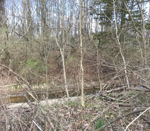 $120,000 | Briarwood Drive, Otsego, MI 49078