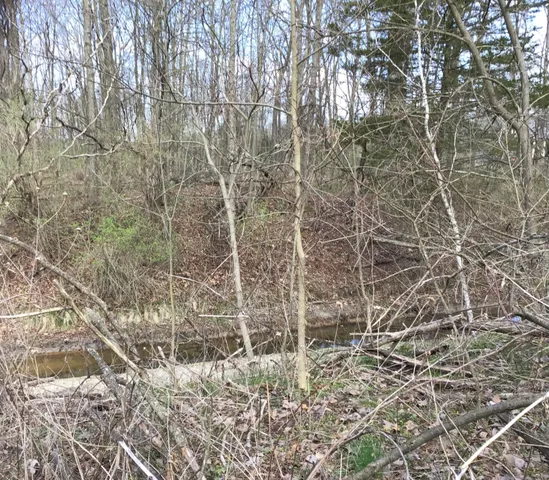 $120,000 | Briarwood Drive, Otsego, MI 49078