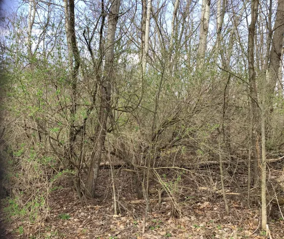 $120,000 | Briarwood Drive, Otsego, MI 49078