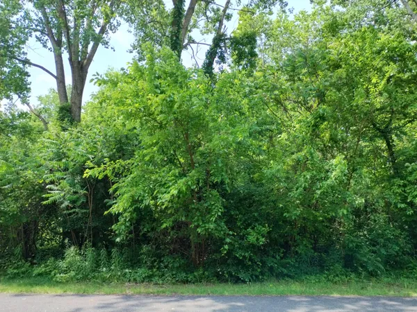 $120,000 | Briarwood Drive, Otsego, MI 49078