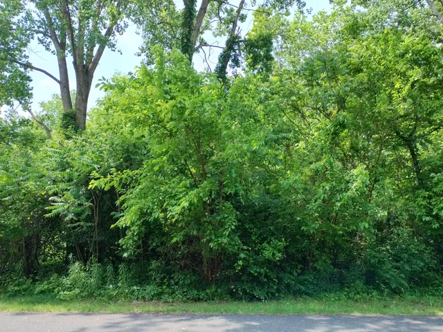 $120,000 | Briarwood Drive, Otsego, MI 49078