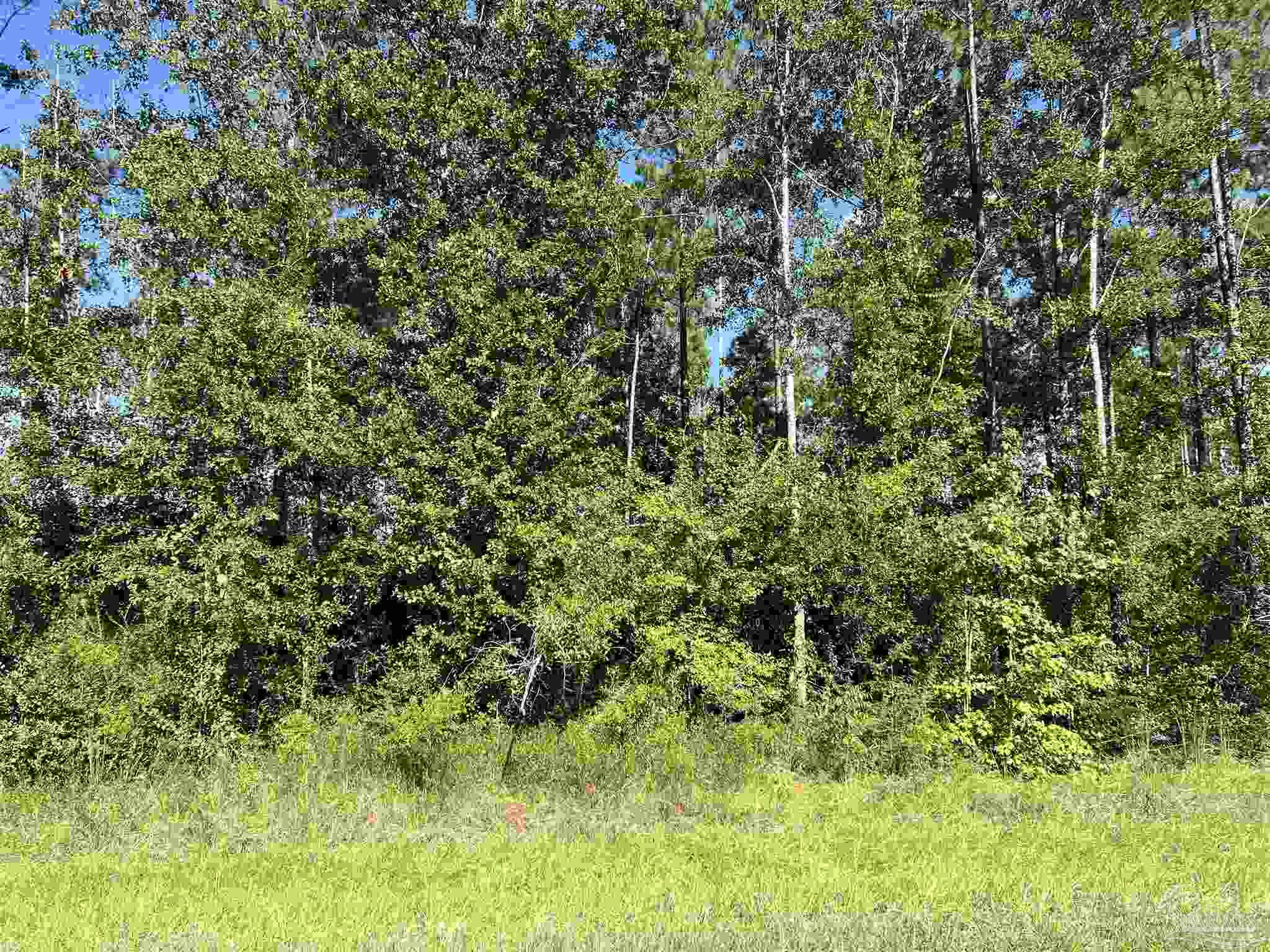 Lot 103 Greyrock Lndg Road Pace, FL 32571 - Photo 1 of 6 Gallery Image 1