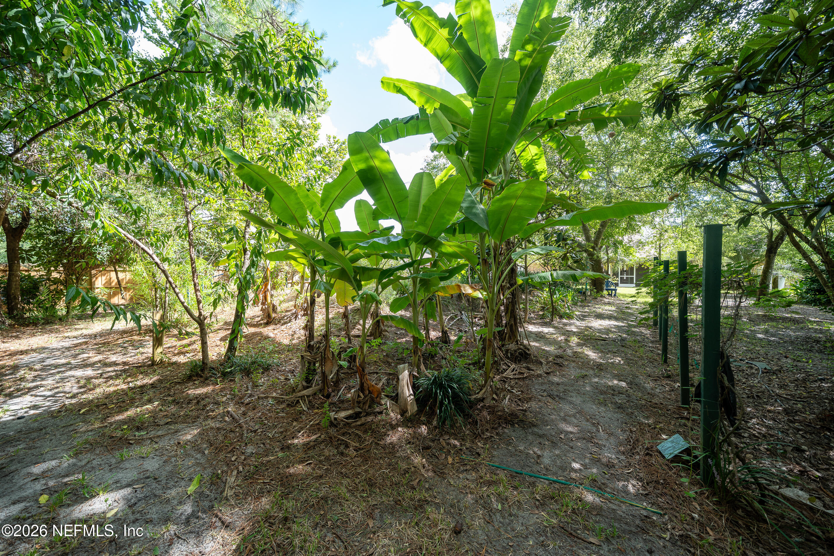 3120 Longleaf Ranch Circle Middleburg, FL 32068 - Photo 42 of 52 Backyard