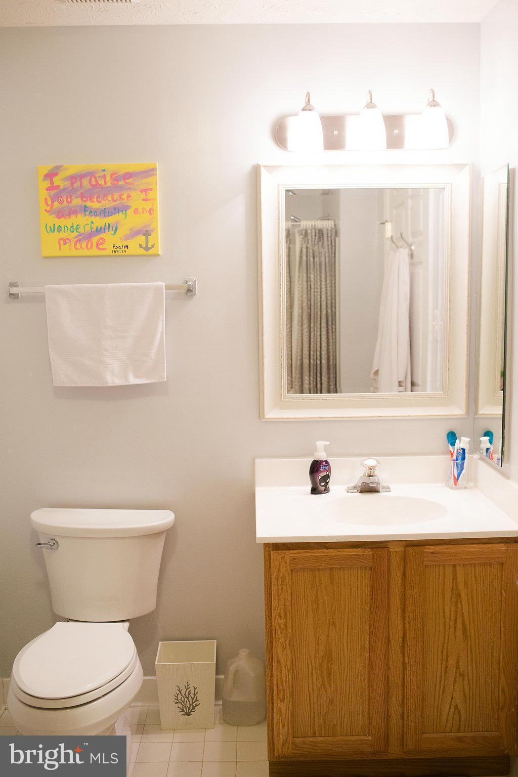 3018 Hunting Ridge Drive, Unit 3018 Owings Mills, MD 21117 - Photo 16 of 30 a bathroom with a toilet sink and mirror