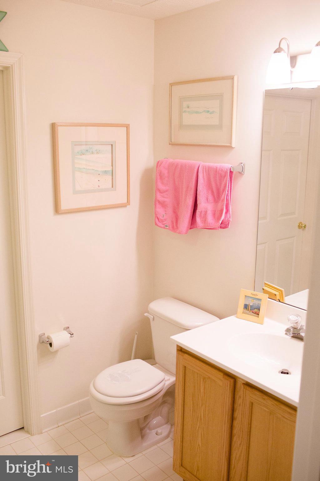 3018 Hunting Ridge Drive, Unit 3018 Owings Mills, MD 21117 - Photo 21 of 30 a bathroom with a sink a toilet and a mirror