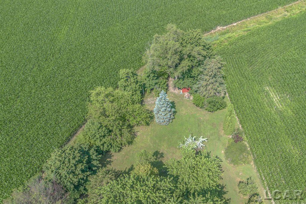 9805 Steffas Road Maybee, MI 48159 - Photo 53 of 59