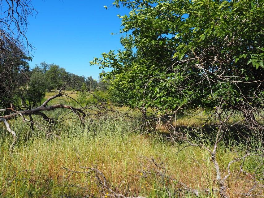 20103 Parocast Road Redding, CA 96003 - Photo 15 of 24 20260519214723024149000000-o