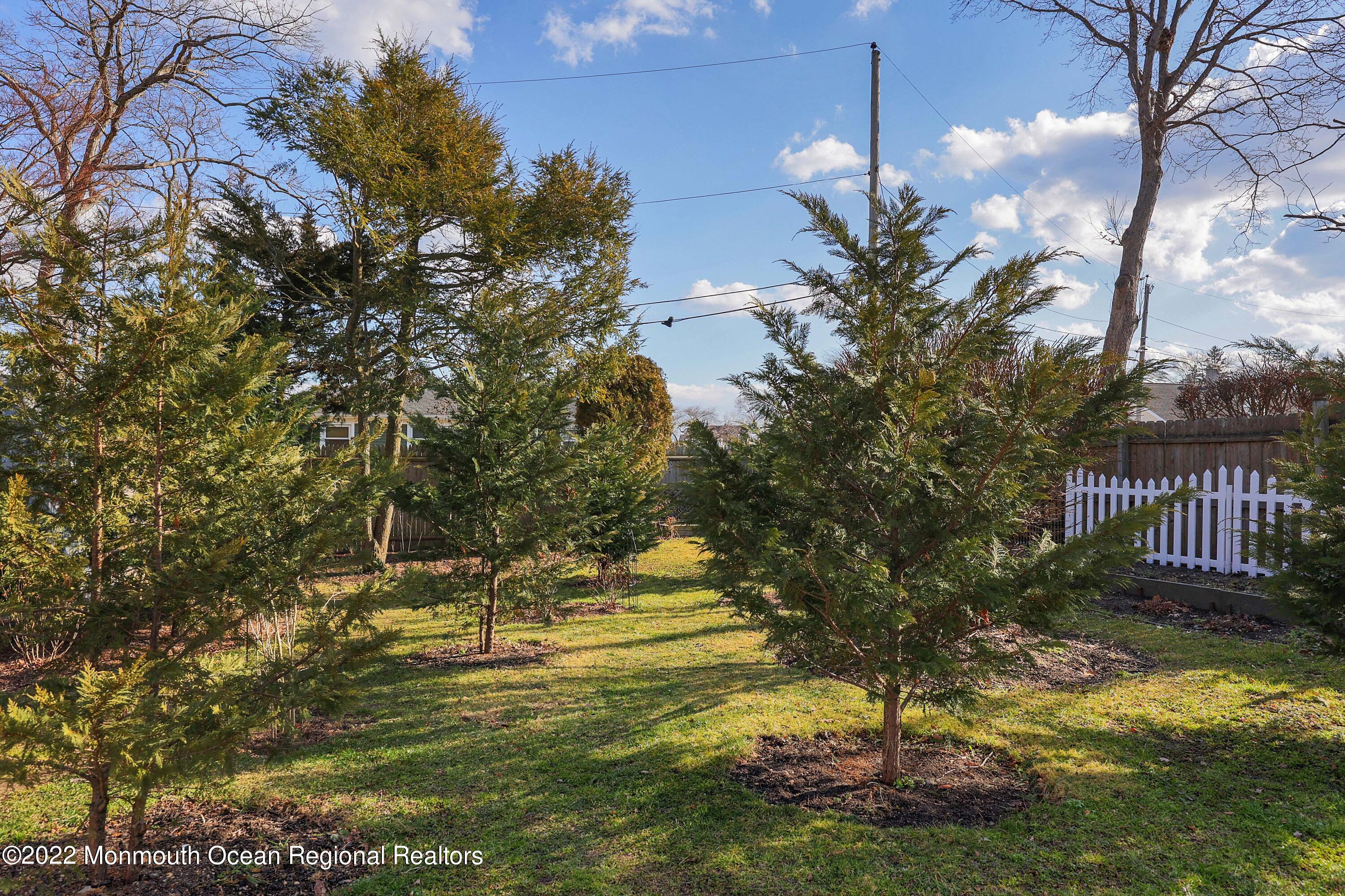 500 Wakefield Road Neptune Township, NJ 07753 - Photo 24 of 34 758A6201_2_3_4_5